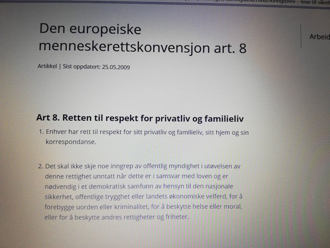 Hvorfor går man ikke inn i enkeltsaker i for å se hva det